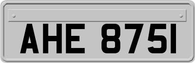 AHE8751