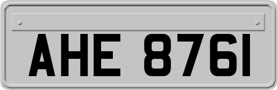 AHE8761