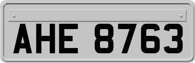 AHE8763