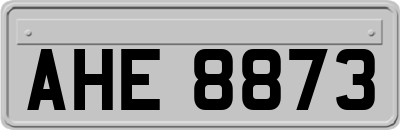 AHE8873