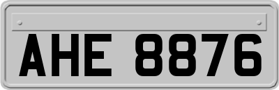AHE8876