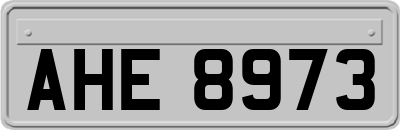 AHE8973