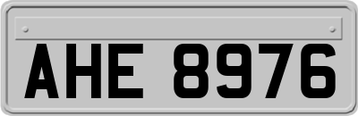 AHE8976