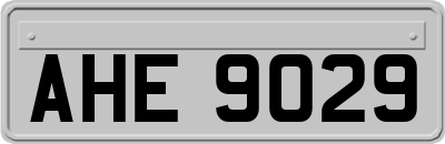 AHE9029