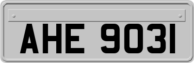 AHE9031