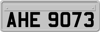 AHE9073
