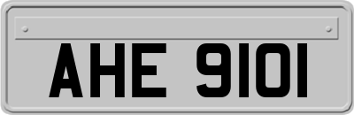 AHE9101