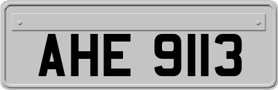 AHE9113