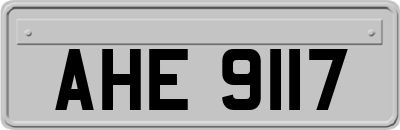 AHE9117