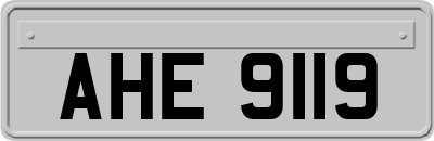 AHE9119