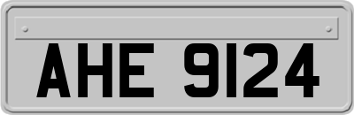 AHE9124