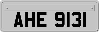 AHE9131