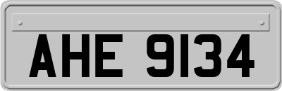 AHE9134