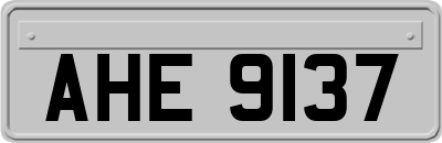 AHE9137