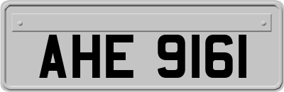 AHE9161