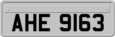 AHE9163
