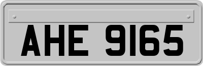 AHE9165