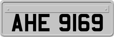 AHE9169