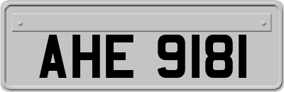 AHE9181
