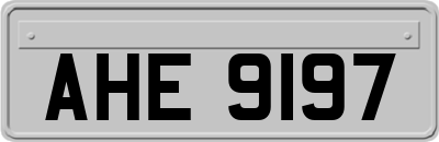 AHE9197