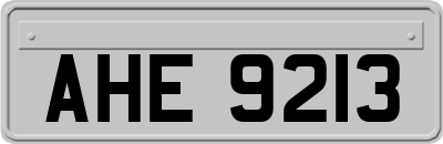 AHE9213