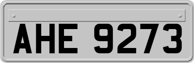 AHE9273