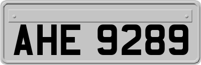 AHE9289