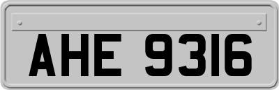 AHE9316
