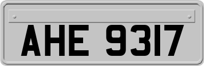 AHE9317