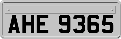AHE9365