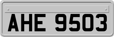 AHE9503