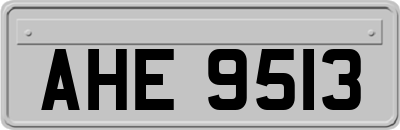AHE9513