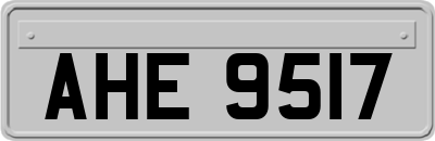 AHE9517