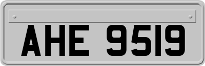 AHE9519