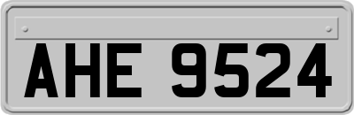 AHE9524