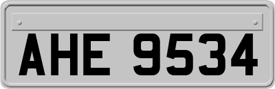 AHE9534
