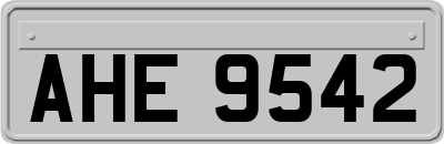 AHE9542