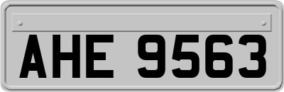 AHE9563