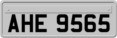 AHE9565