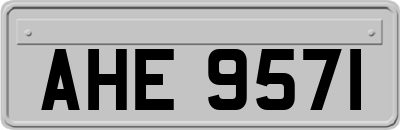 AHE9571