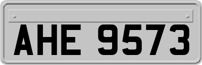 AHE9573
