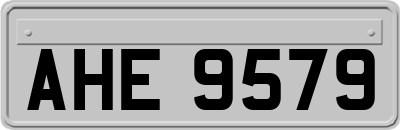 AHE9579