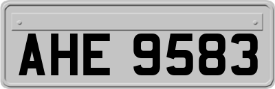 AHE9583