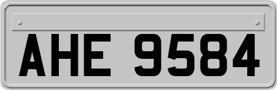 AHE9584