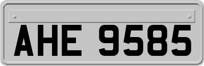 AHE9585