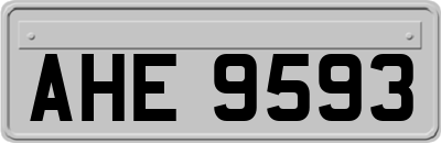 AHE9593