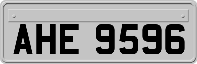 AHE9596