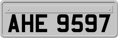 AHE9597