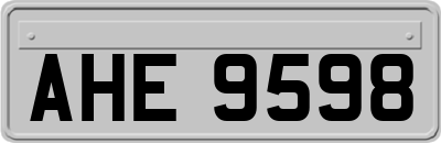 AHE9598