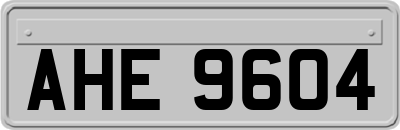 AHE9604